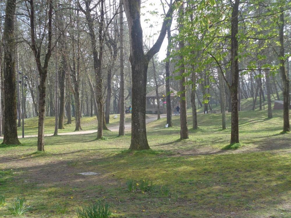 Studio Cabine 4 Personnes Le Touquet エクステリア 写真